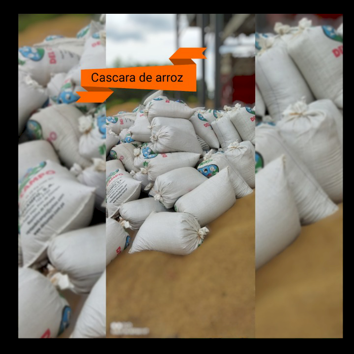 Venta de Cáscarilla de arroz